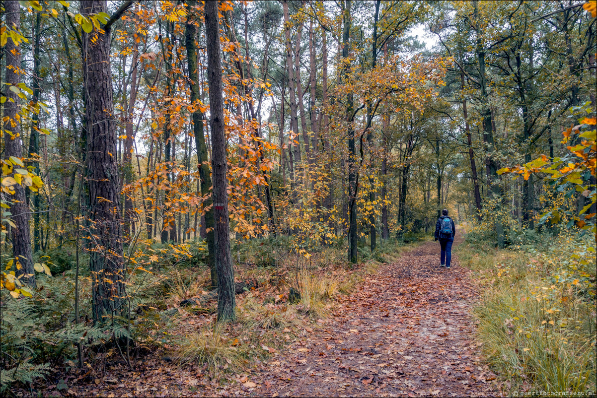 Pelgrimspad: Drunen - Den Bosch - Vught